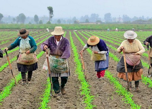 mujer rural